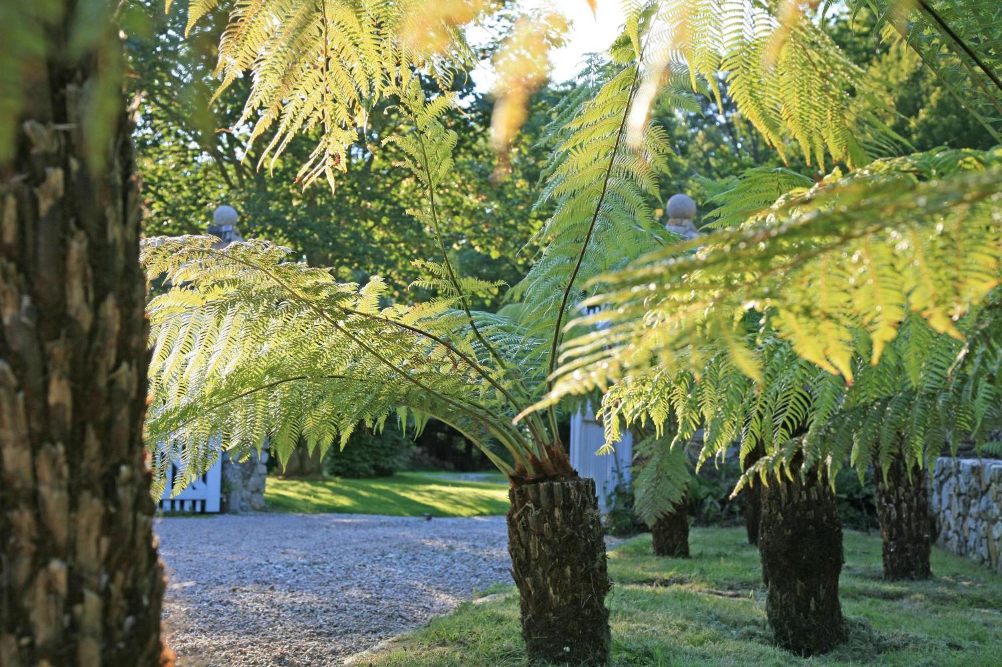 Gîte des Fougères Cherbourg-en-Cotentin Extérieur photo